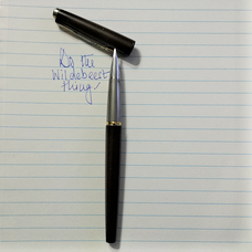 Falcon – Parker 50. The Steel Goddess with integrated nib - INKED HAPPINESS